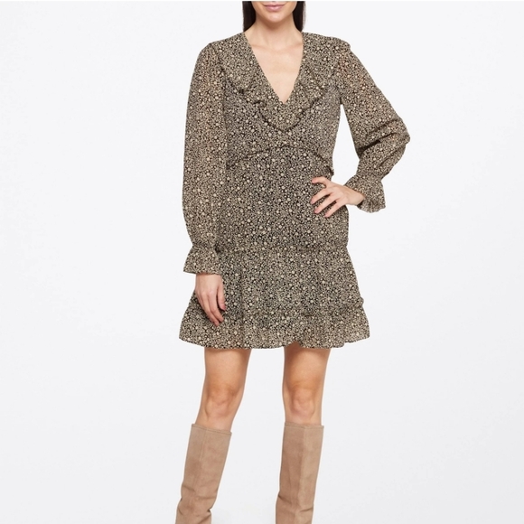 NWT JOIE ADANSON MINI COTTON DRESS COLOR BLEACHED SAND SIZE 4 - Picture 13 of 14